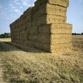 Un paysage qui me botte ...