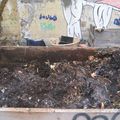 le Compost Collectif Urbain