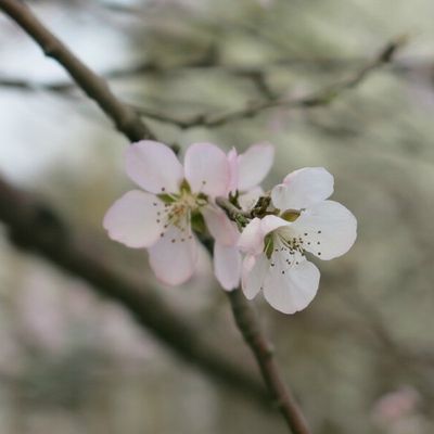 Advice from a long time expat - Walk This City