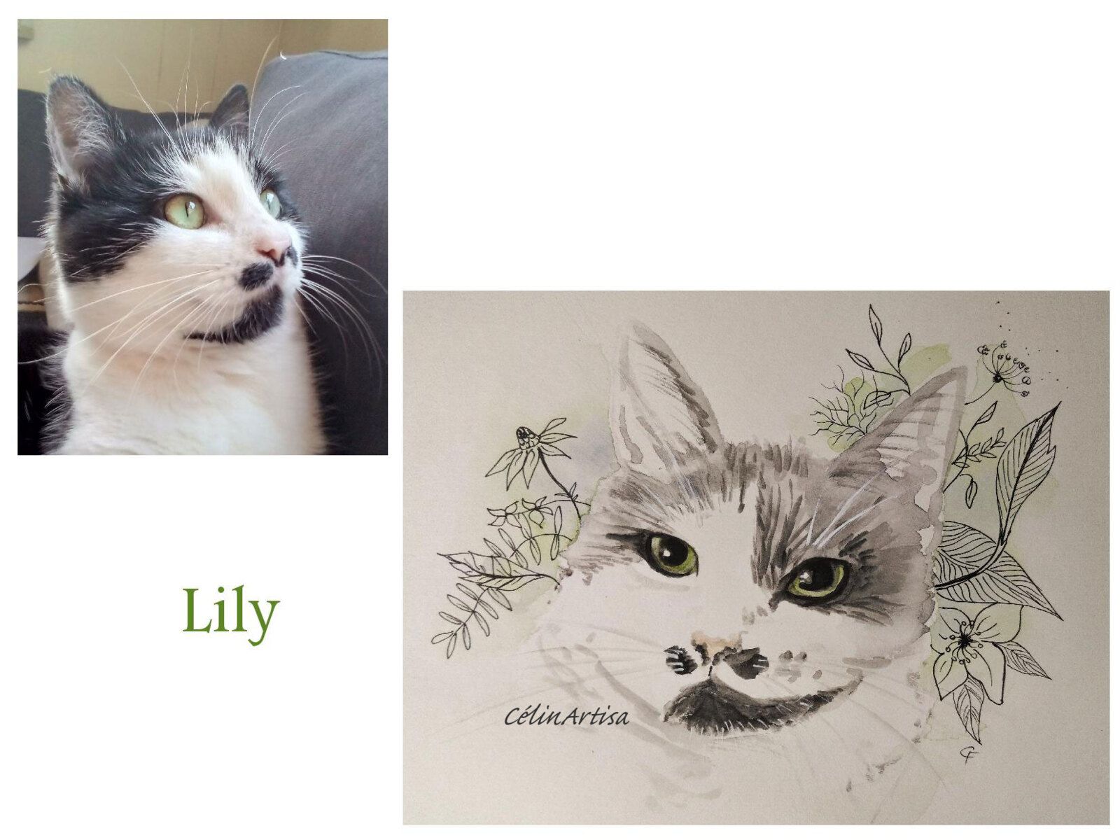 aquarelle portrait chat 