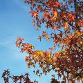 Prendre l'air en décembre 2024