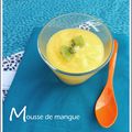 MOUSSE DE MANGUE