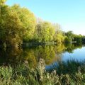 L AUTOMNE...Forêt de COMPIEGNE...