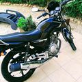 F rider, le motard A2, " essai Yamaha 125 YBR modèle 2009".