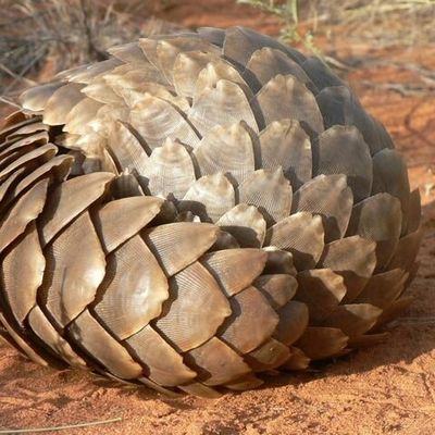 CRPE 2020: s'entraîner confiné dans l'attente des dates de report... Et surtout, rester motivé.