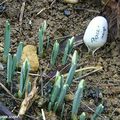 Détournements d'objets au jardin...