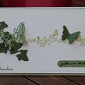 Du vert et blanc...Pour Carte Maniak