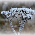 Ouvrage du 1er janvier (2)