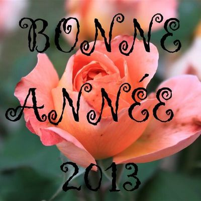 BONNE ANNÉE 