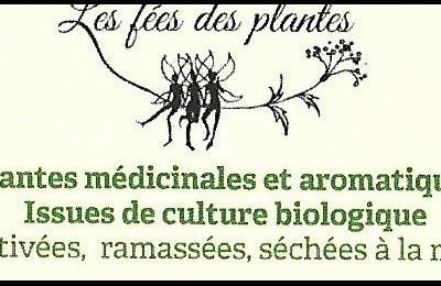 Les fées des plantes : Privilégions le médicinal local