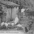 Souvenirs du siège de Belfort - Joseph Berger : L'auge aux pommes de terre.