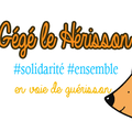Un projet qui vient du coeur ♥♥ Gégé le Hérisson ♥♥