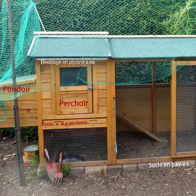 Vanille et Coucou : 2- Installation