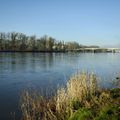 Bords de Loire #2