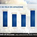 Incendie en Amazonie