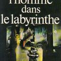 L'homme dans le labyrinthe