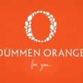 Dümmen Orange sponsort Van Gogh Museum