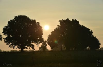 Il faisait bon vivre chez nous ! (suite)