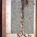 Gutenberg la première Bible imprimée de l'histoire en 1453/55