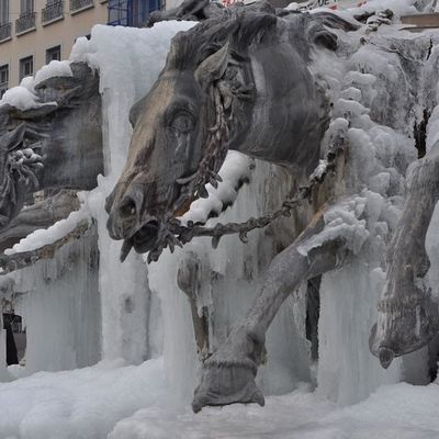 Chevaux de glace