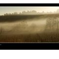 Vignes à contre jour - Clermont l'Hérault (Hérault 34)