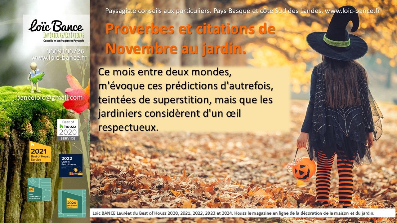 Novembre en proverbes et citations au jardin. Paysagiste Pays Basque Paysagiste Landes.