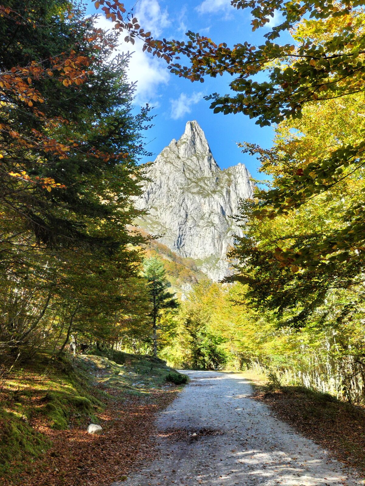 Lescun, plateau de Sanchèse, en chemin.. (64)