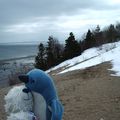 Canada, jour 7 : Tadoussac