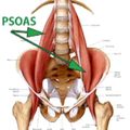 Pourquoi et comment étirer le psoas