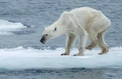 Chaîne humaine pour le climat