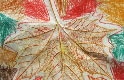 Feuille d'automne : coloriage