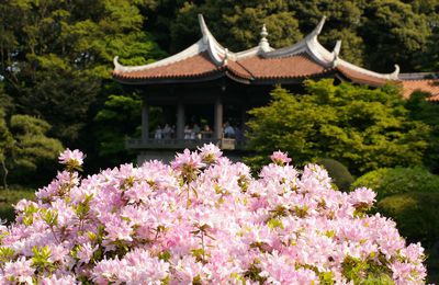 Shinjuku Gyoen