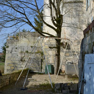 Jardinage : coupe des arbres