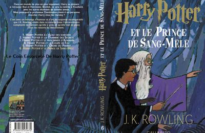 Critique Harry Potter tome 6 ou l'une des pires intrigues de la saga