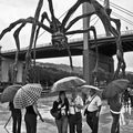 In front of the Guggenheim museum with Louise Bourgeois's spider.