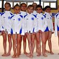 COUPE DE NOËL : LES JEUNES GYMNASTES HIRSONNAISES SE DISTINGUENT A FRESNOY.