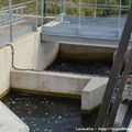 01/11/16 : A l'usine hydroélectrique de Strasbourg, les poissons passent depuis le mois de mai