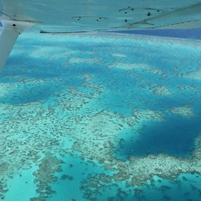 Cairns et la grande barrière de corail - 07-08/07