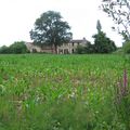 Bords de Garonne