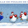 La boule de neige peut être décorative