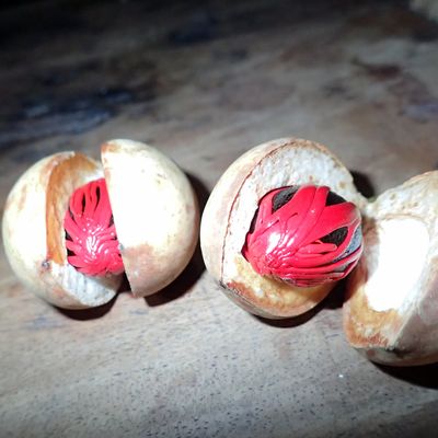 Mercredi 27 janvier 2016 : Grenade 