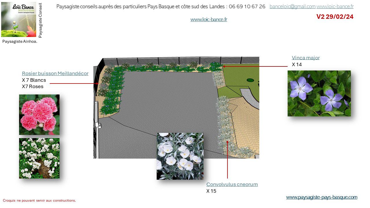 Plantations de couvres sol sur talus