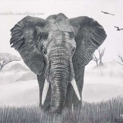 198 - L'éléphant dans son milieu naturel