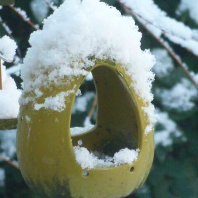 Objets inanimés, avez-vous donc une âme?...