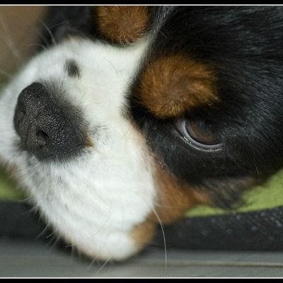 107/365, le 21 Janvier 2012