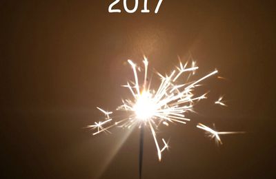 Bonne année 2017!