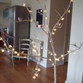 Un arbre dans mon salon