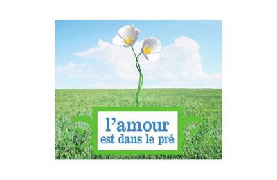 L'amour n'est pas manchot