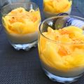 Panna cotta légère au yaourt, carpaccio de mangue et coulis mangue-ananas