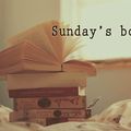 Sunday's Book # 1 